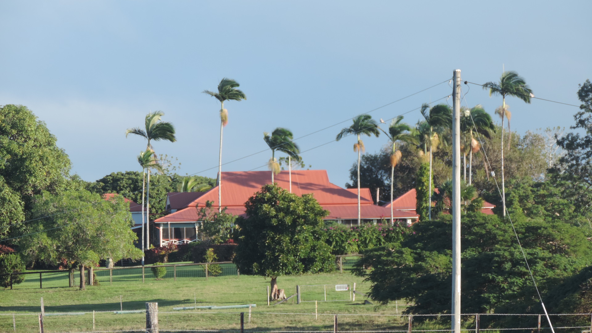 classic house with palm trees