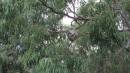 DSCN0989.JPG