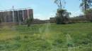 DSCN5094.JPG