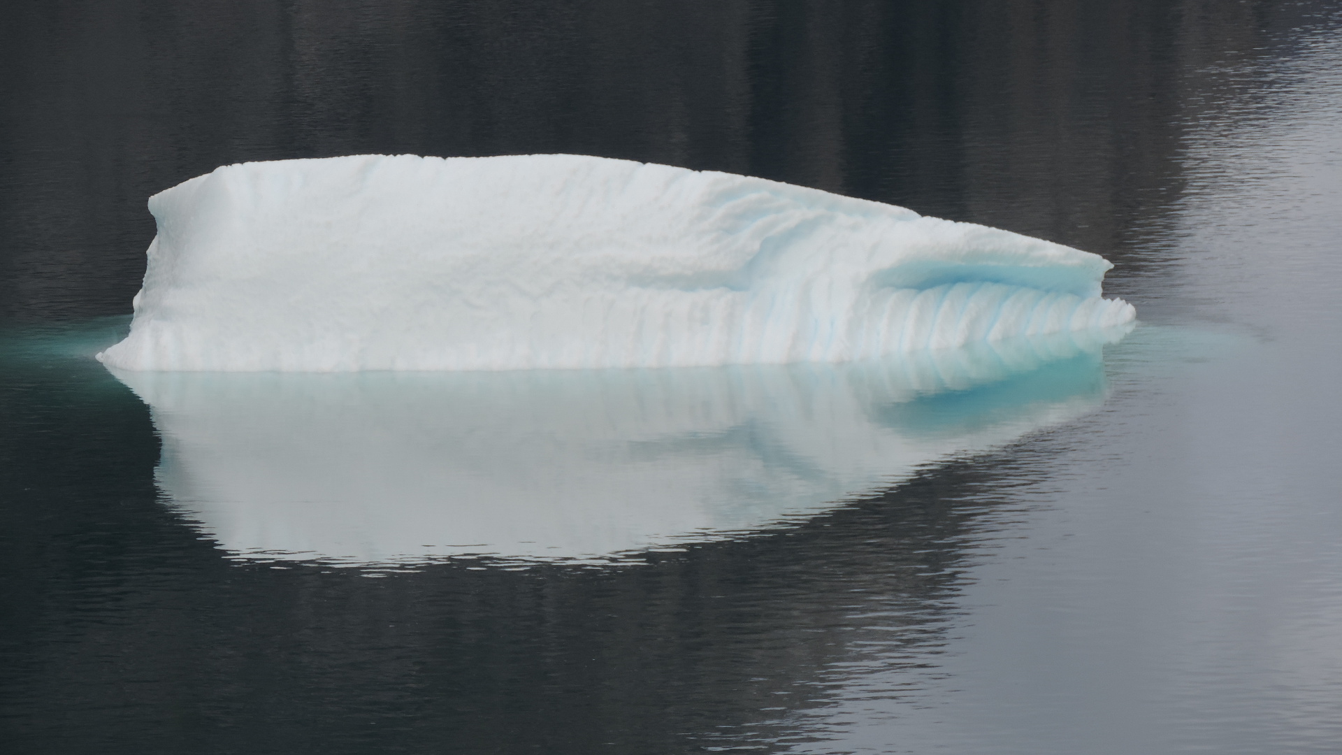 iceberg in prince Christian sound