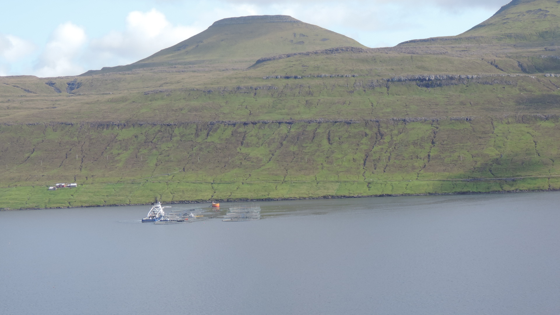 fish farming