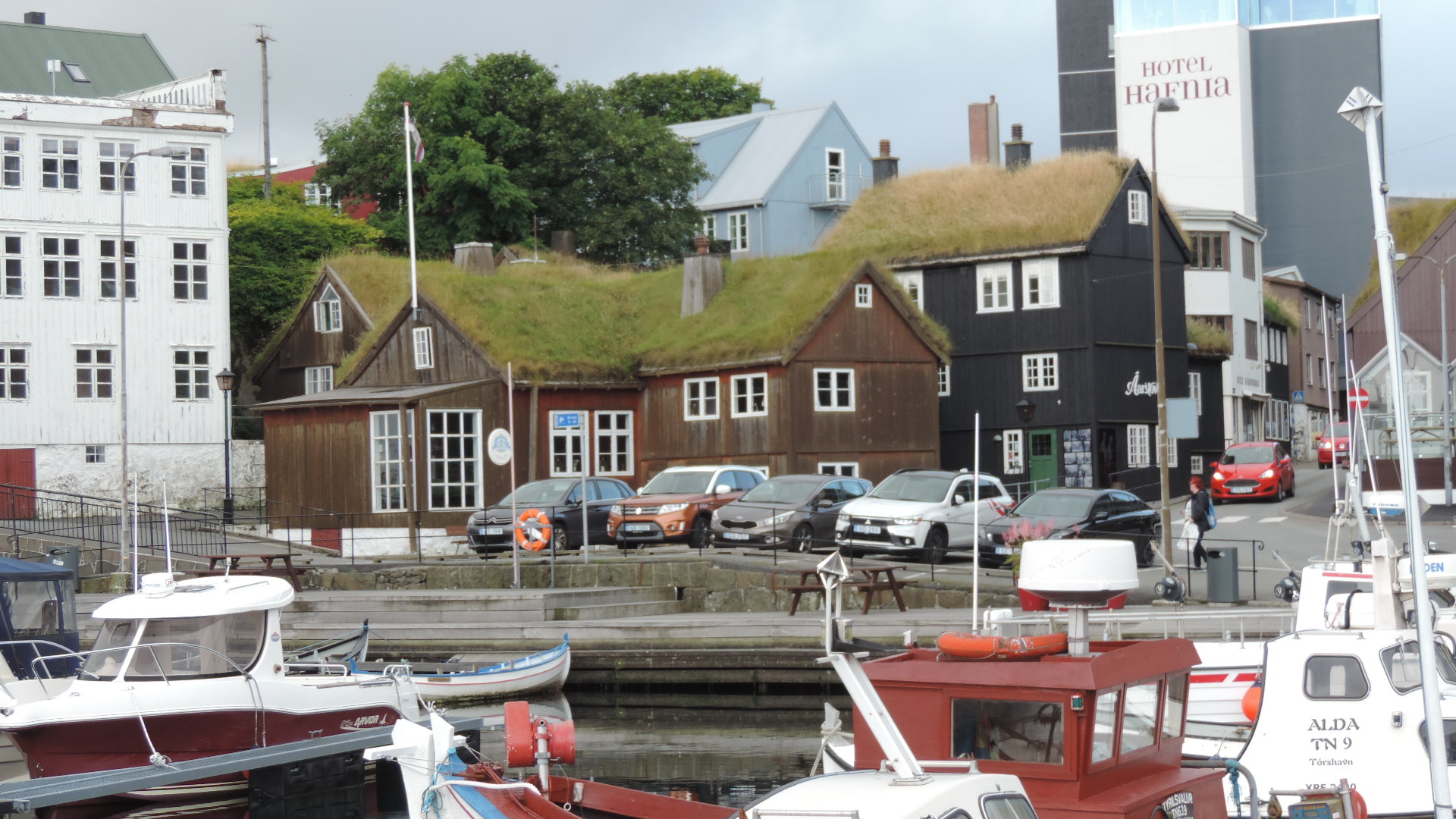 1800s houses with grass roof