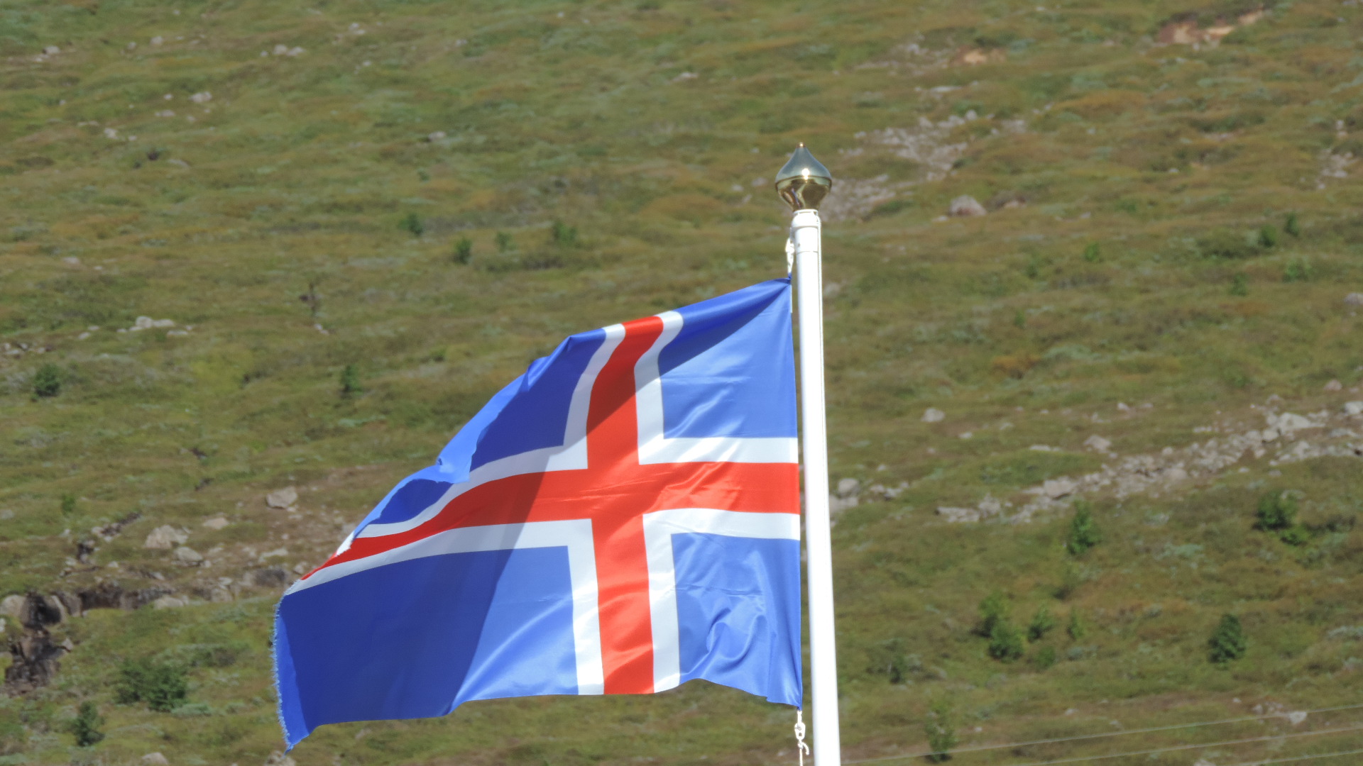 Icelandic flag