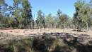 DSCN5480.JPG