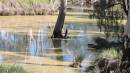 DSCN5487.JPG