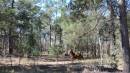 DSCN5510.JPG