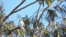 DSCN5515.JPG