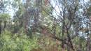 DSCN5517.JPG