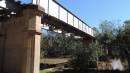 DSCN5520.JPG