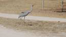 DSCN6710.JPG