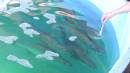 DSCN6797.JPG