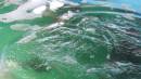 DSCN6800.JPG