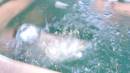 DSCN6803.JPG