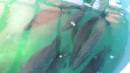DSCN6804.JPG