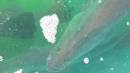 DSCN6805.JPG