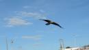 DSCN6861.JPG