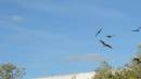 DSCN6873.JPG