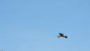 DSCN6874.JPG