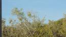DSCN6879.JPG