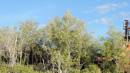 DSCN6884.JPG