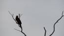 DSCN6903.JPG