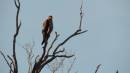 DSCN6904.JPG