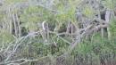 DSCN6909.JPG