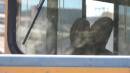 DSCN7073.JPG