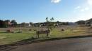 DSCN7126.JPG