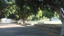 DSCN7133.JPG