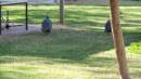 DSCN8464.JPG