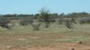 DSCN8482.JPG