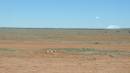DSCN8488.JPG