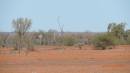 DSCN8492.JPG