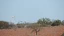 DSCN8515.JPG