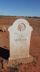DSCN8598.JPG