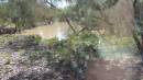 DSCN8658.JPG