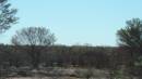 DSCN8685.JPG