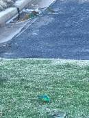 IMG_4145.jpg
