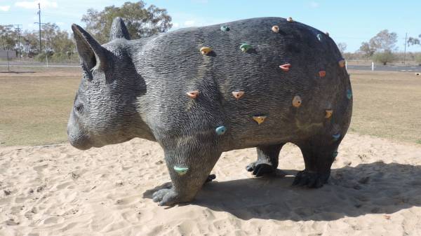 Thallon's Northern Hairy Nosed Wombat statue and climbing wall