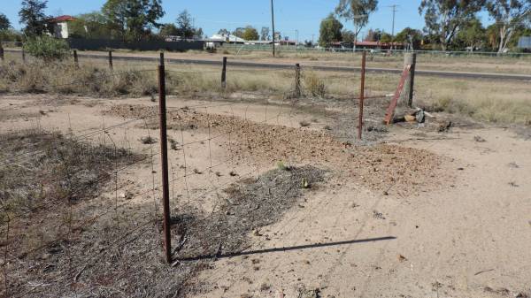 end of dingo barrier fence 8320km in length